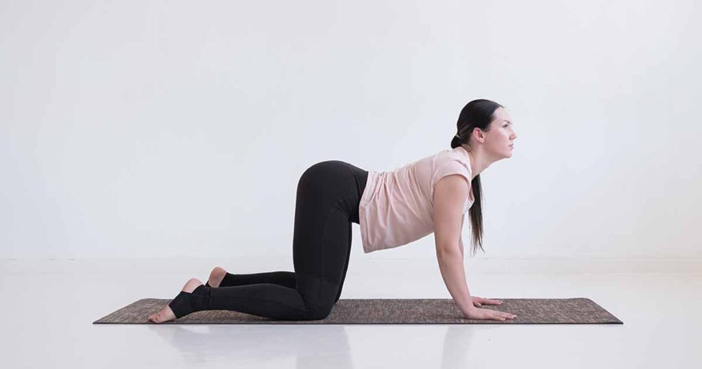 Cat-Cow Pose (marjaryasana-bitilasana)